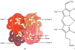 Don't Ignore the Importance of Hemoglobin Detection