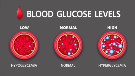 Glycemic Control: A Guide to Blood Sugar Monitoring