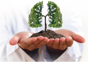 A Guide of Asthma to Understanding This Common Condition