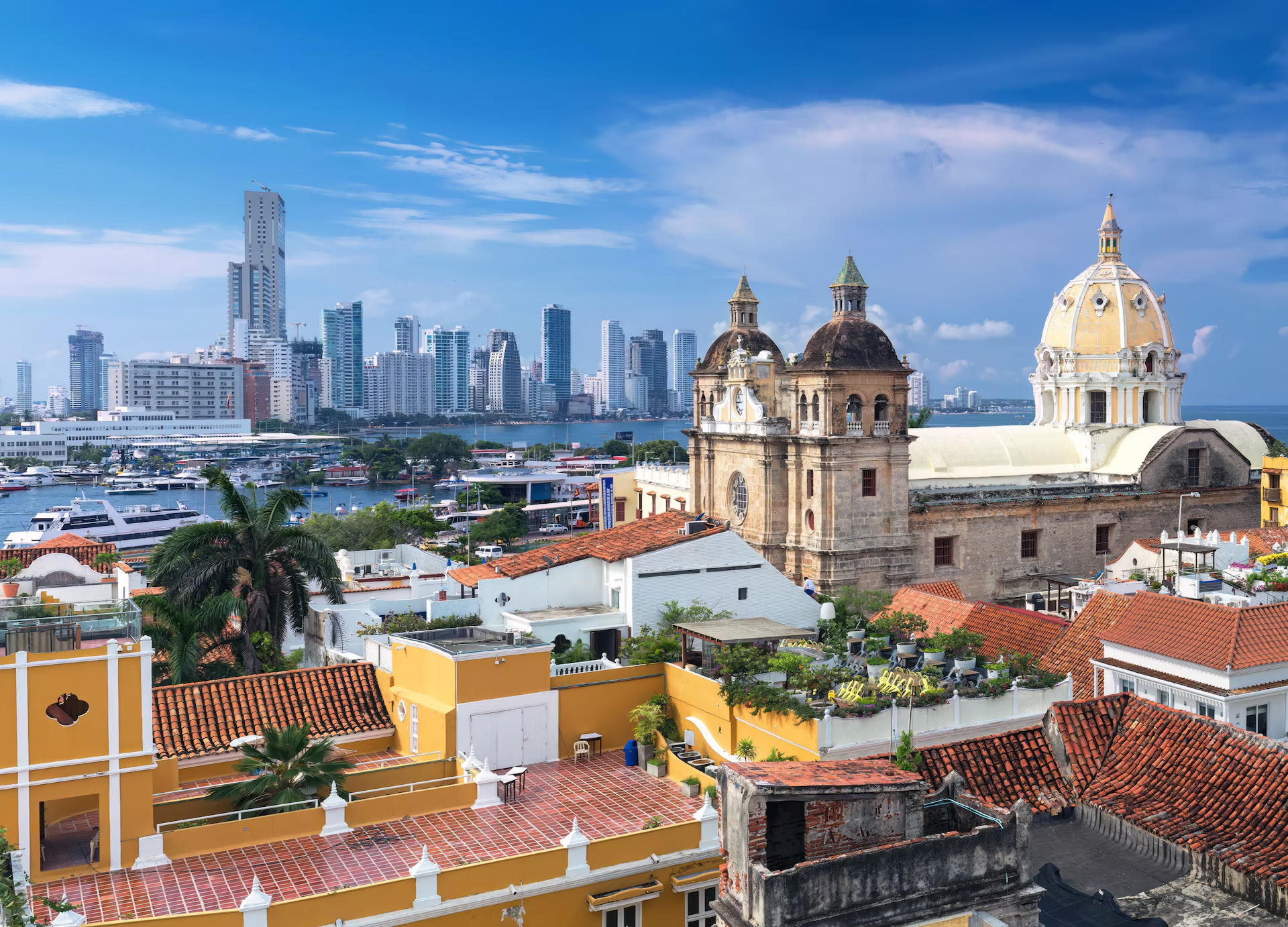 Event showcase