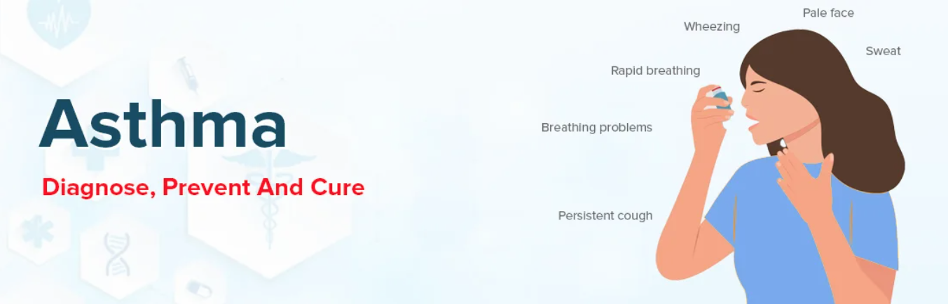 Asthma: A Comprehensive Guide to the Chronic Airway Disease